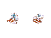 2g2f: A Src-like Inactive Conformation in the Abl Tyrosine Kinase Domain