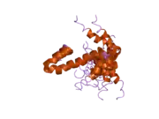 2g31: Human Nogo-A functional domain: nogo60