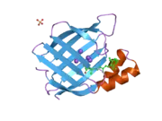 2g79: Crystal Structure of the R132K:Y134F Mutant of Cellular Retinoic Acid Binding Protein Type II in Complex with All-Trans-Retinal at 1.69 Angstroms Resolution