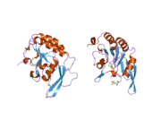 2ghq: CTD-specific phosphatase Scp1 in complex with peptide C-terminal domain of RNA polymerase II