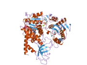 2gjk: Structural and functional insights into the human Upf1 helicase core