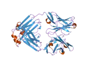 2h3n: Crystal structure of a surrogate light chain (LAMBDA5 and VpreB) homodimer