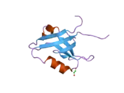 2he4: The crystal structure of the second PDZ domain of human NHERF-2 (SLC9A3R2) interacting with a mode 1 PDZ binding motif