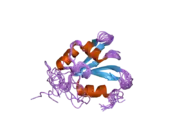 2hgl: NMR structure of the first qRRM domain of human hnRNP F