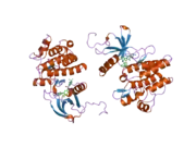 2hiw: Crystal Structure of Inactive Conformation Abl Kinase Catalytic Domain Complexed with Type II Inhibitor