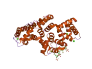 2hyu: Human Annexin A2 with heparin tetrasaccharide bound