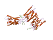 2i36: Crystal structure of trigonal crystal form of ground-state rhodopsin