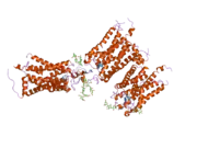 2i37: Crystal structure of a photoactivated rhodopsin