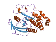 2i75: Crystal Structure of Human Protein Tyrosine Phosphatase N4 (PTPN4)