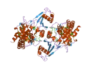 2ig7: Crystal structure of Human Choline Kinase B