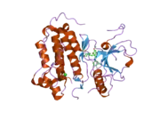 2itz: CRYSTAL STRUCTURE OF EGFR KINASE DOMAIN L858R MUTATION IN COMPLEX WITH IRESSA