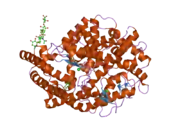 2iul: HUMAN TACE G13 MUTANT