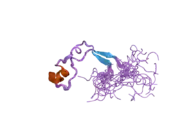 2j2s: SOLUTION STRUCTURE OF THE NONMETHYL-CPG-BINDING CXXC DOMAIN OF THE LEUKAEMIA-ASSOCIATED MLL HISTONE METHYLTRANSFERASE