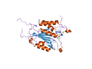 2j30: THE ROLE OF LOOP BUNDLE HYDROGEN BONDS IN THE MATURATION AND ACTIVITY OF (PRO)CASPASE-3