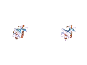 2j61: L-FICOLIN COMPLEXED TO N-ACETYLGLUCOSAMINE (FORME C)