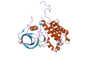 2jbo: PROTEIN KINASE MK2 IN COMPLEX WITH AN INHIBITOR (CRYSTAL FORM-1, SOAKING)