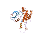 2jfl: CRYSTAL STRUCTURE OF HUMAN STE20-LIKE KINASE (DIPHOSPHORYLATED FORM) BOUND TO 5- AMINO-3-((4-(AMINOSULFONYL)PHENYL)AMINO)-N-(2,6- DIFLUOROPHENYL)-1H-1,2, 4-TRIAZOLE-1-CARBOTHIOAMIDE