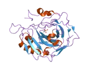 2nwz: Structural and kinetic effects of hydrophobic mutations on the active site of human carbonic anhydrase II