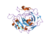 2nxt: Structural and kinetic effects of hydrophobic mutations in the active site of human carbonic anhydrase II