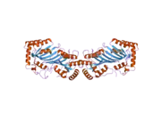 2nyt: The APOBEC2 Crystal Structure and Functional Implications for AID