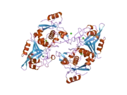 2p0r: Structure of Human Calpain 9 in complex with Leupeptin