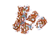 2p85: Structure of Human Lung Cytochrome P450 2A13 with indole bound in two alternate conformations