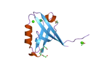 2pkt: Crystal structure of the human CLP-36 (PDLIM1) bound to the C-terminal peptide of human alpha-actinin-1