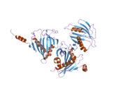 2pso: Human StarD13 (DLC2) lipid transfer and protein localization domain