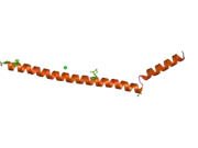 2q2f: Structure of the human Selenoprotein S (VCP-interacting membrane protein)