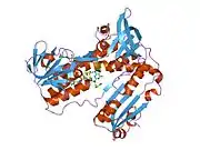 4grt: HUMAN GLUTATHIONE REDUCTASE A34E, R37W MUTANT, MIXED DISULFIDE BETWEEN TRYPANOTHIONE AND THE ENZYME