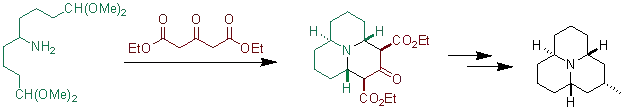 Petrenko-Krischenko type condensation of Precoccinellin precursor