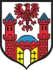 Coat of arms of Trzcińsko-Zdrój