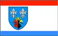 Flag of Bełchatowski County