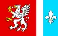 Flag of Dębica County