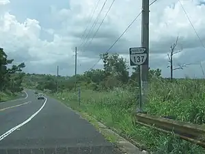 PR-137 with shield in the shape of the island of Puerto Rico