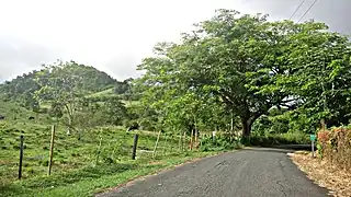 PR-9974 in Mariana