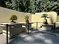 Pacific Bonsai Museum