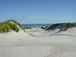 Dunes at the beach