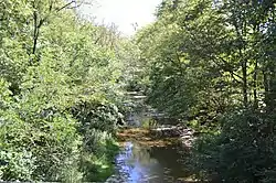 Paint Creek northwest of Camden