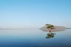 View of Pakhal Lake