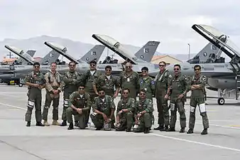 The PAF's fighter pilots with the greenish g-suit in comparison to USAF.