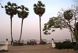 Tuktuks and palmyra palms on the Mekong bank in Thakhek, Laos