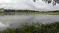 A paddy field in Chemmad