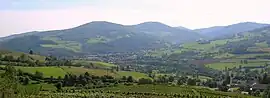 A general view of Saint-Didier-sur-Beaujeu