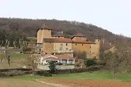 The château of Antouillet, in Panossas