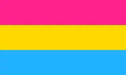 The Pansexual flag, a simple horizontal triband.