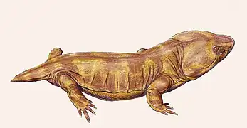 Pantylus, a pantylid "microsaur"