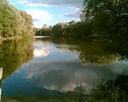 A pond in the village of Papsuyevka, Pochepsky District