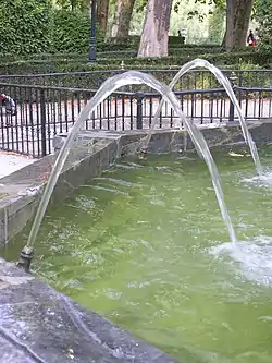 Parabolic trajectories of water in a fountain.