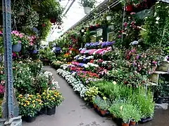 The Flower Market